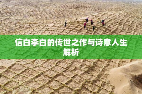 信白李白的传世之作与诗意人生解析