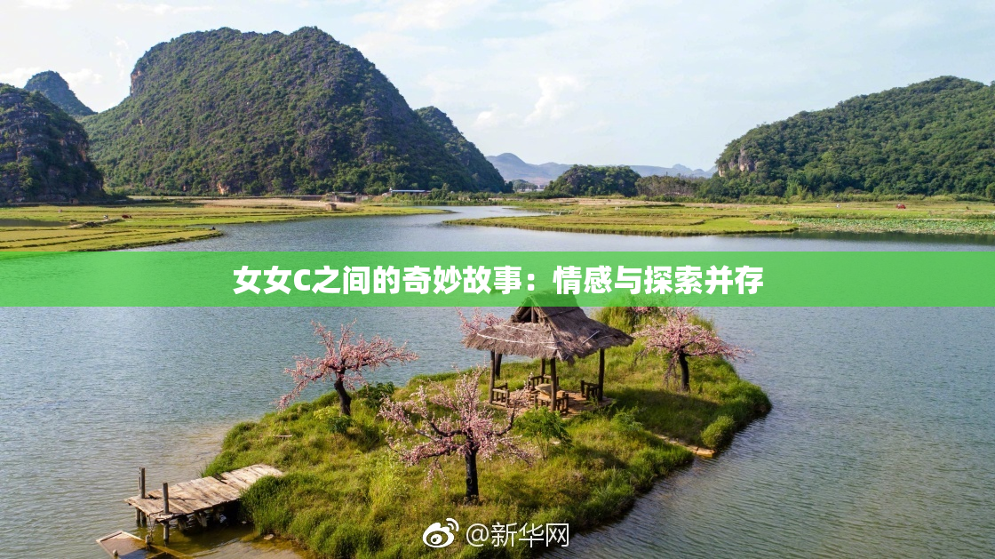 女女C之间的奇妙故事：情感与探索并存