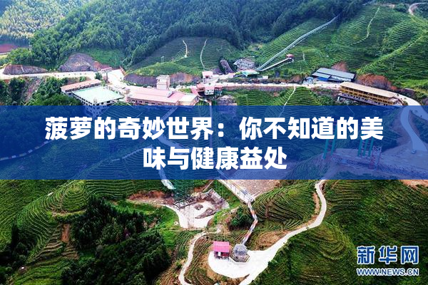 菠萝的奇妙世界：你不知道的美味与健康益处
