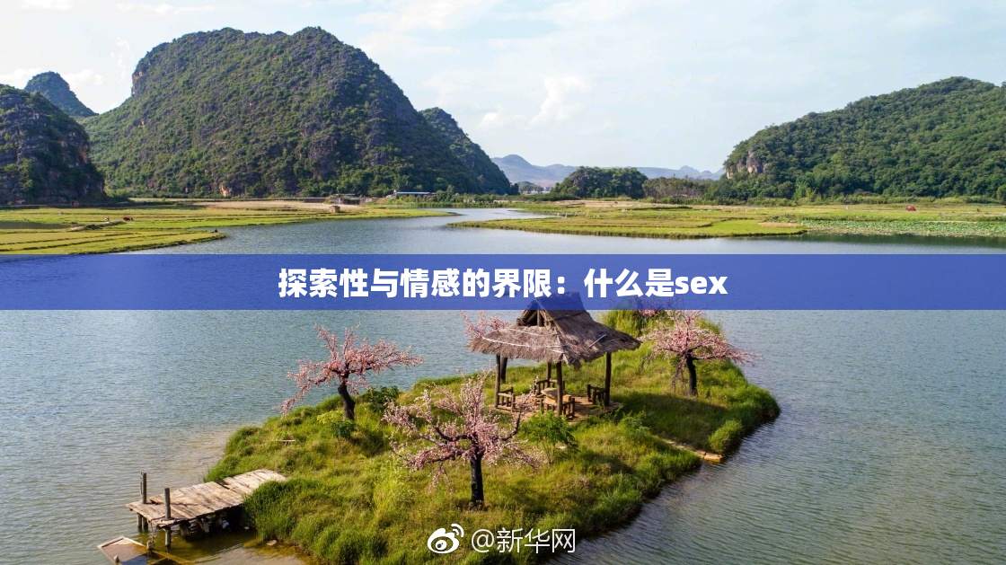 探索性与情感的界限：什么是sex