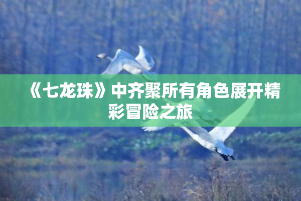 《七龙珠》中齐聚所有角色展开精彩冒险之旅