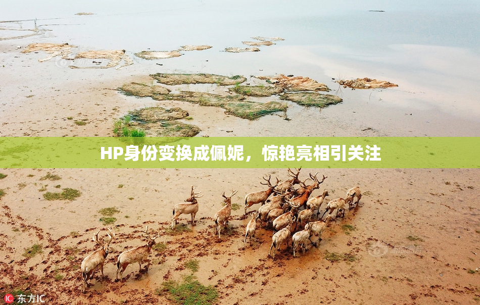 HP身份变换成佩妮，惊艳亮相引关注