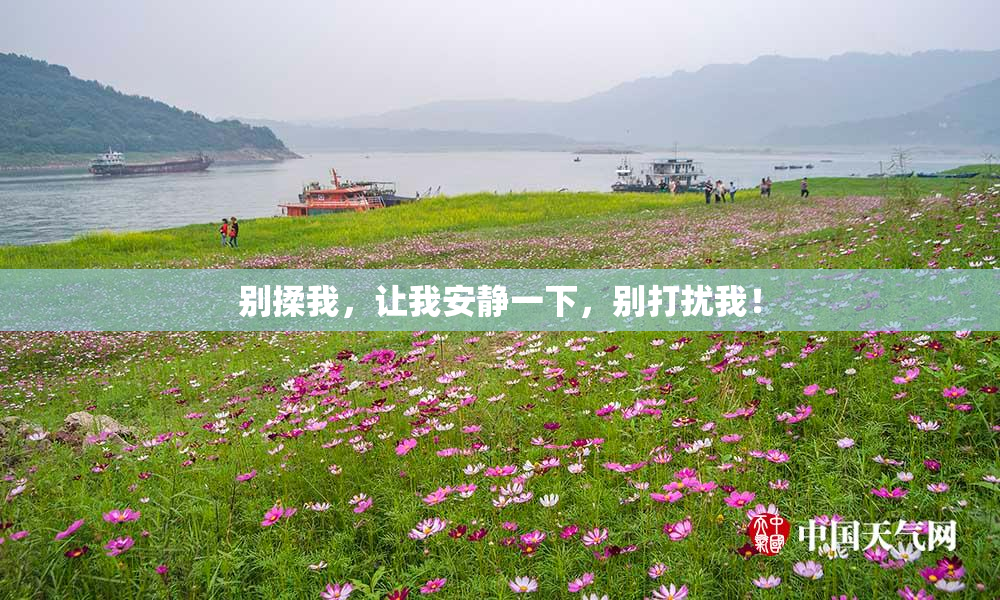 别揉我，让我安静一下，别打扰我！
