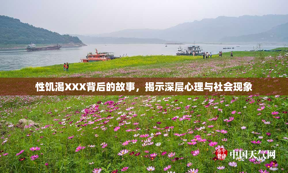 性饥渴XXX背后的故事，揭示深层心理与社会现象