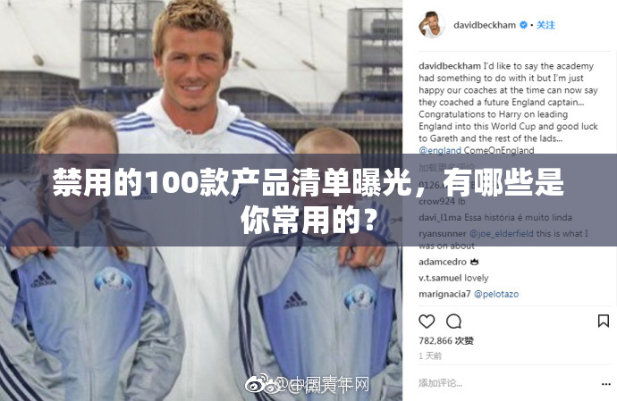 禁用的100款产品清单曝光，有哪些是你常用的？