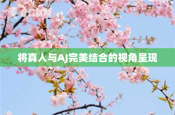 将真人与AJ完美结合的视角呈现