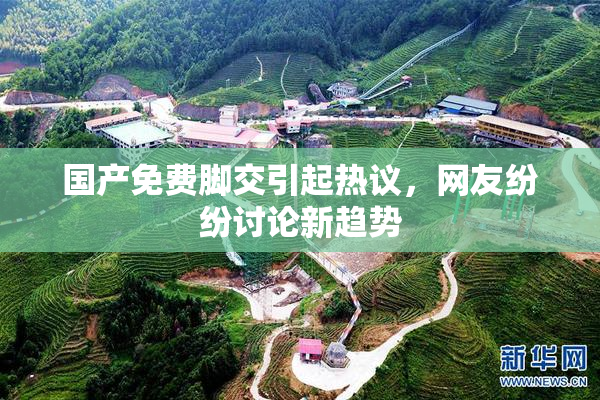 国产免费脚交引起热议，网友纷纷讨论新趋势