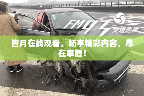 皆月在线观看，畅享精彩内容，尽在掌握！