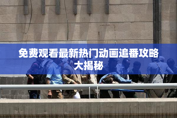 免费观看最新热门动画追番攻略大揭秘