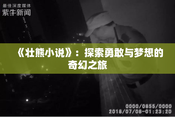 《壮熊小说》：探索勇敢与梦想的奇幻之旅