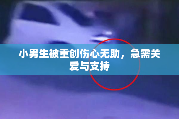 小男生被重创伤心无助，急需关爱与支持