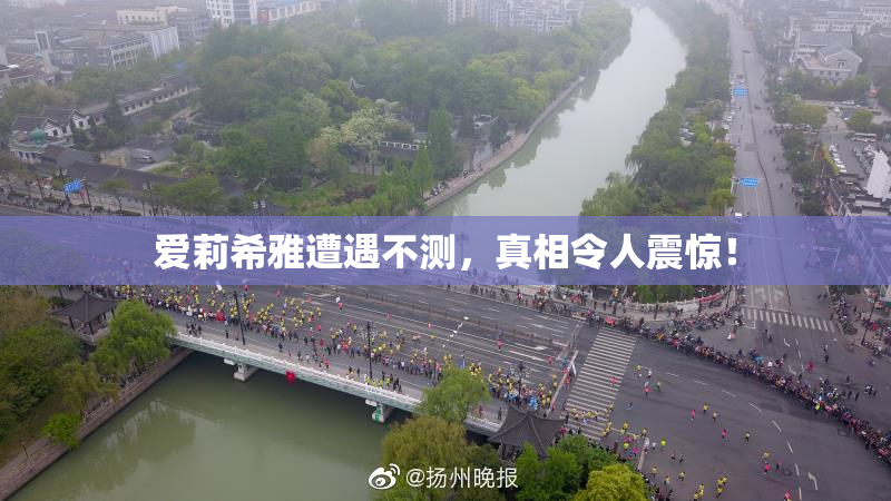爱莉希雅遭遇不测，真相令人震惊！