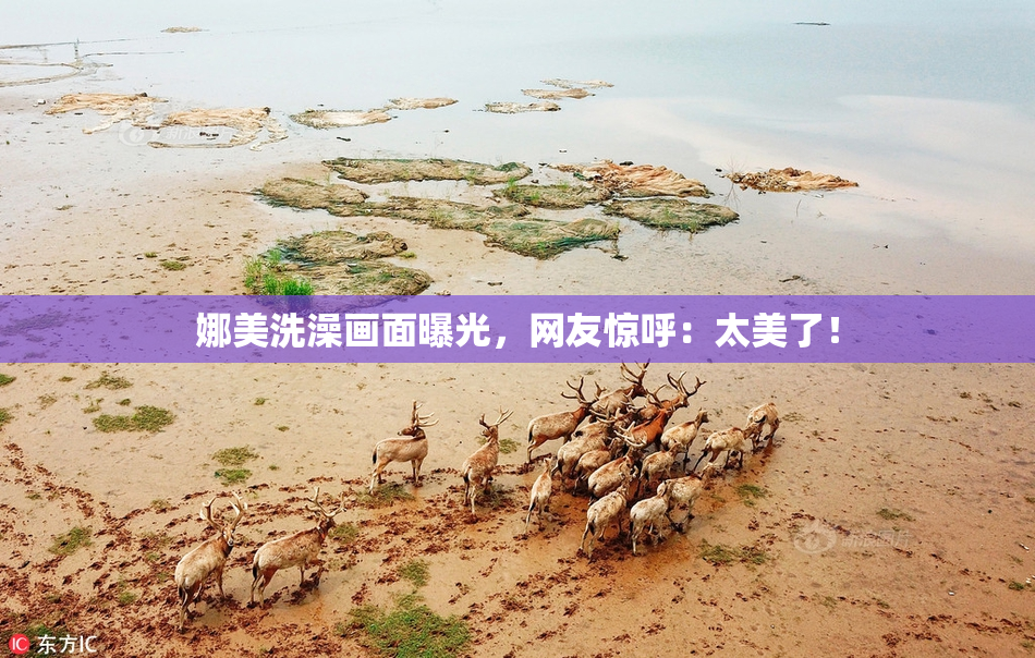 娜美洗澡画面曝光，网友惊呼：太美了！