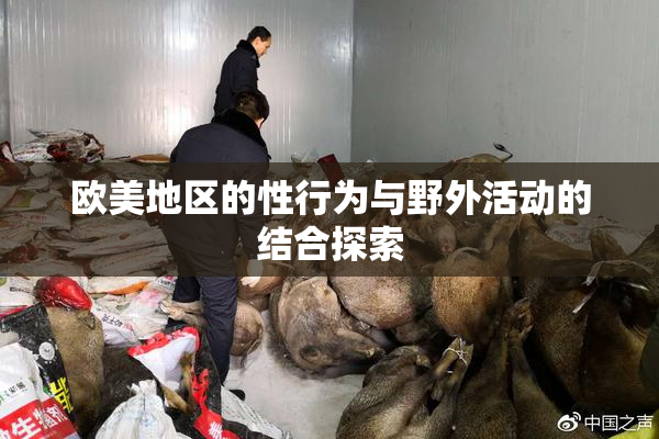 欧美地区的性行为与野外活动的结合探索
