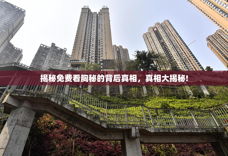 揭秘免费看胸秘的背后真相，真相大揭秘!