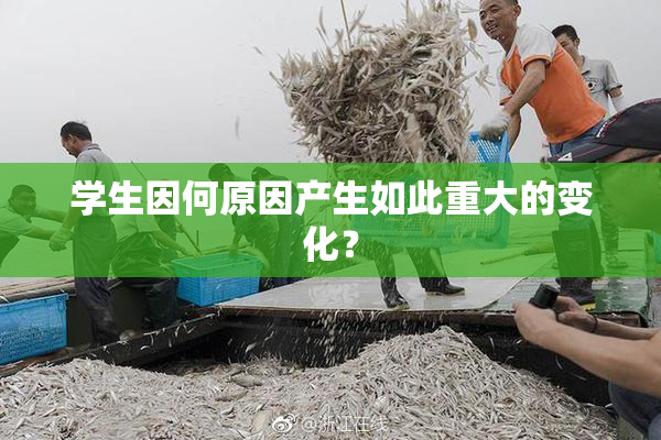学生因何原因产生如此重大的变化？