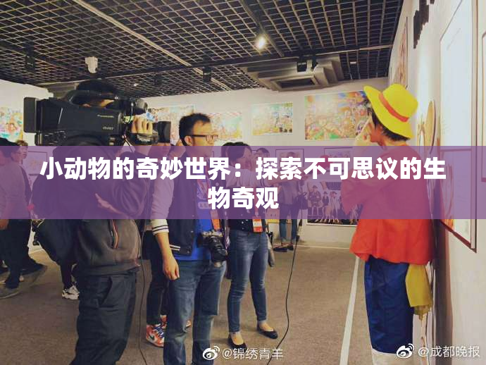 小动物的奇妙世界：探索不可思议的生物奇观