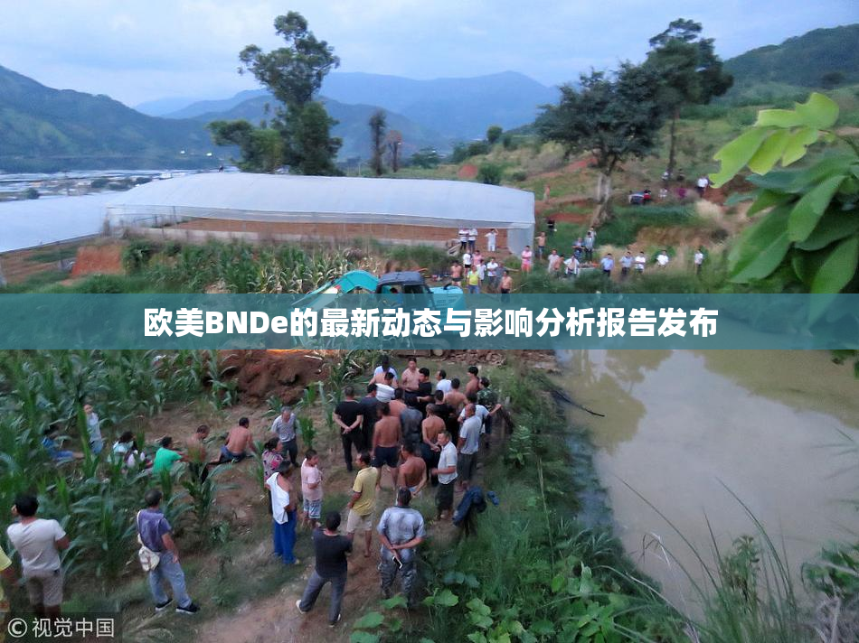 欧美BNDe的最新动态与影响分析报告发布