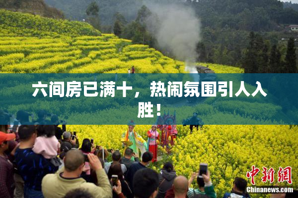 六间房已满十，热闹氛围引人入胜！