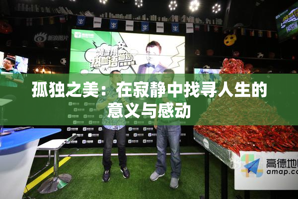 孤独之美：在寂静中找寻人生的意义与感动