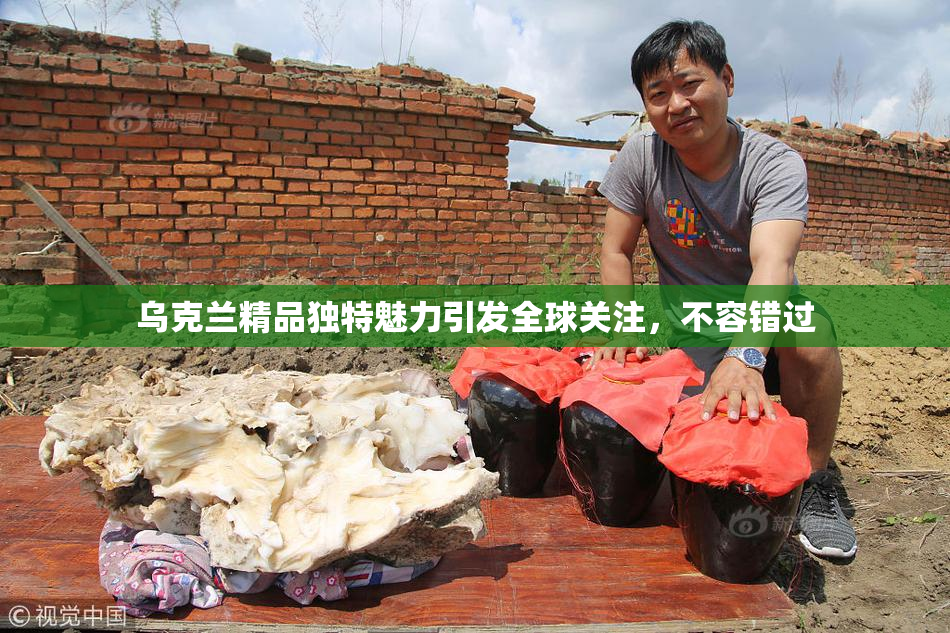 乌克兰精品独特魅力引发全球关注，不容错过