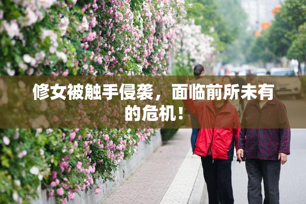 修女被触手侵袭，面临前所未有的危机！