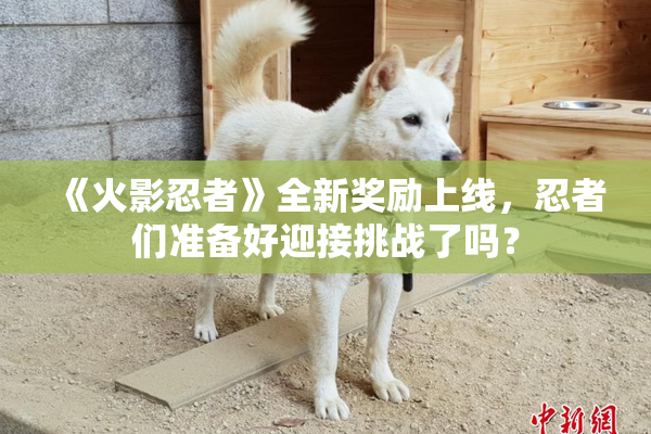 《火影忍者》全新奖励上线，忍者们准备好迎接挑战了吗？