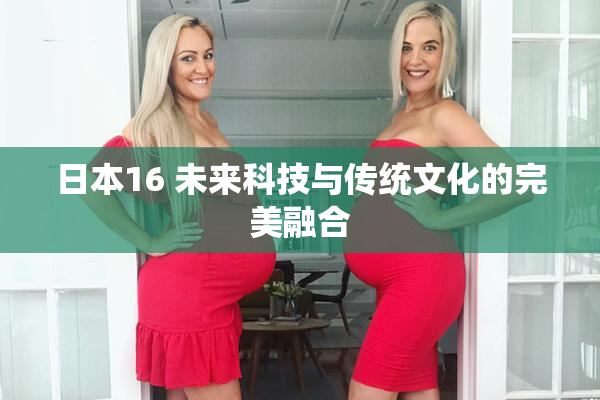 日本16 未来科技与传统文化的完美融合