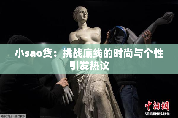 小sao货：挑战底线的时尚与个性引发热议