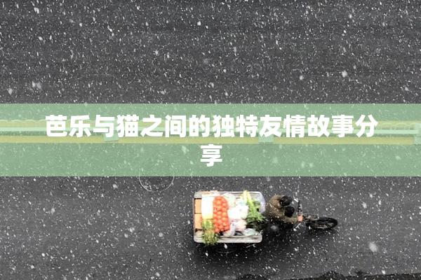 芭乐与猫之间的独特友情故事分享