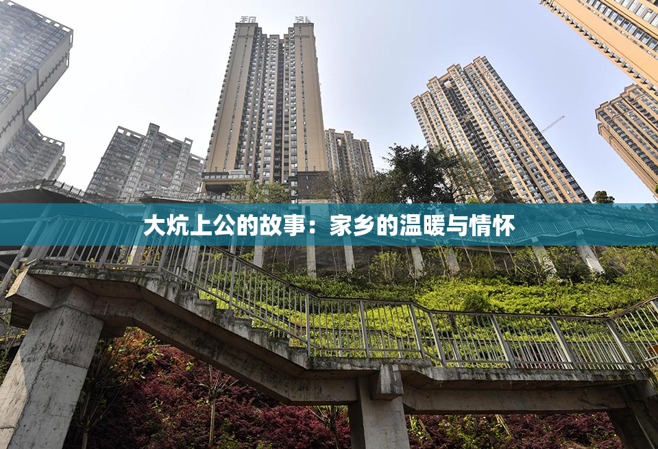 大炕上公的故事：家乡的温暖与情怀