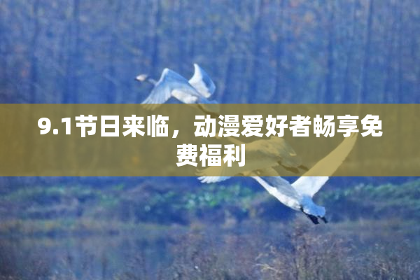 9.1节日来临，动漫爱好者畅享免费福利