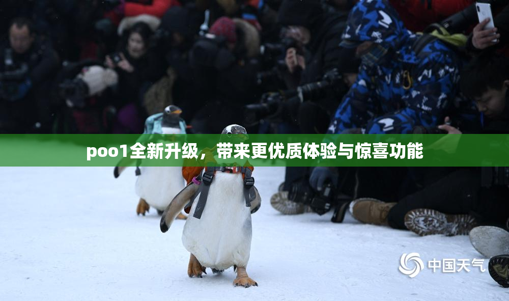 poo1全新升级，带来更优质体验与惊喜功能