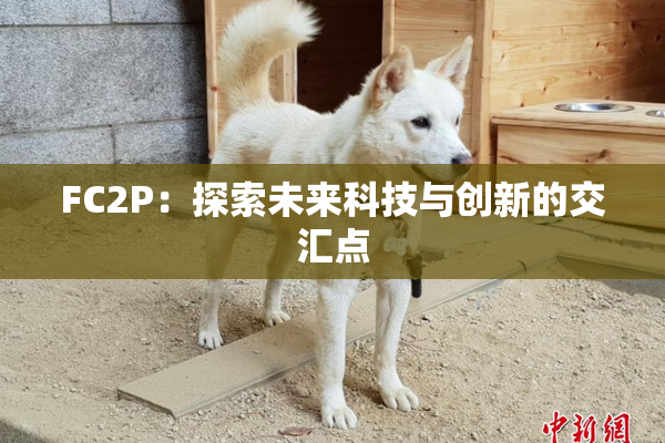 FC2P：探索未来科技与创新的交汇点