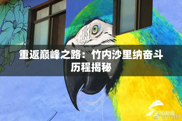 重返巅峰之路：竹内沙里纳奋斗历程揭秘