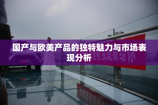 国产与欧美产品的独特魅力与市场表现分析