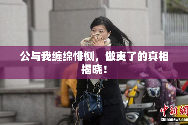 公与我缠绵悱恻，做爽了的真相揭晓！