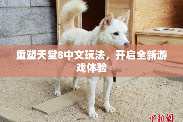 重塑天堂8中文玩法，开启全新游戏体验