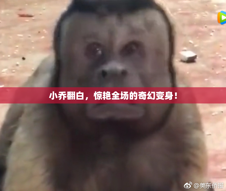 小乔翻白，惊艳全场的奇幻变身！