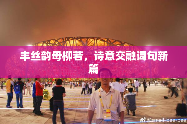 丰丝韵母柳若，诗意交融词句新篇