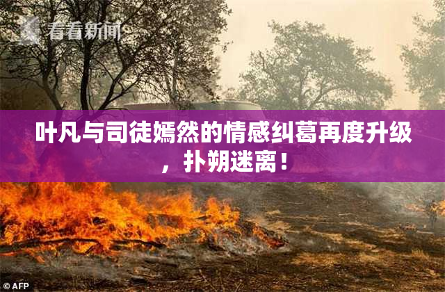 叶凡与司徒嫣然的情感纠葛再度升级，扑朔迷离！