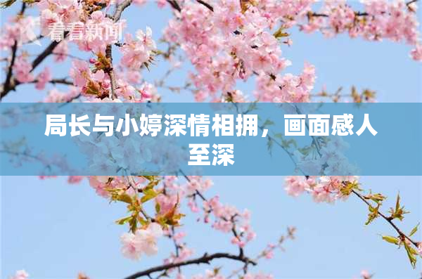 局长与小婷深情相拥，画面感人至深
