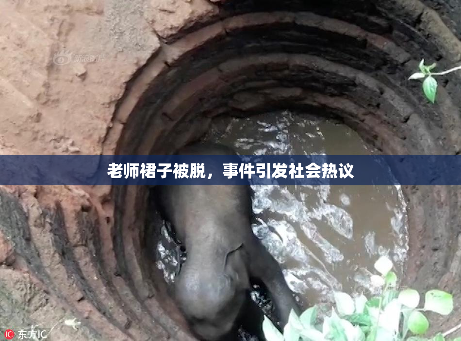 老师裙子被脱，事件引发社会热议
