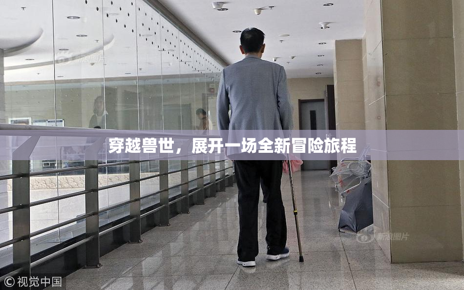 穿越兽世，展开一场全新冒险旅程