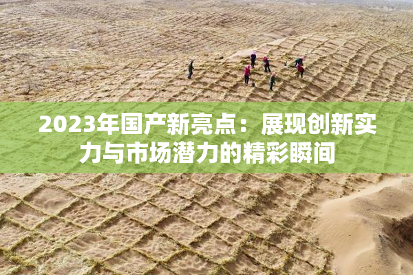2023年国产新亮点：展现创新实力与市场潜力的精彩瞬间