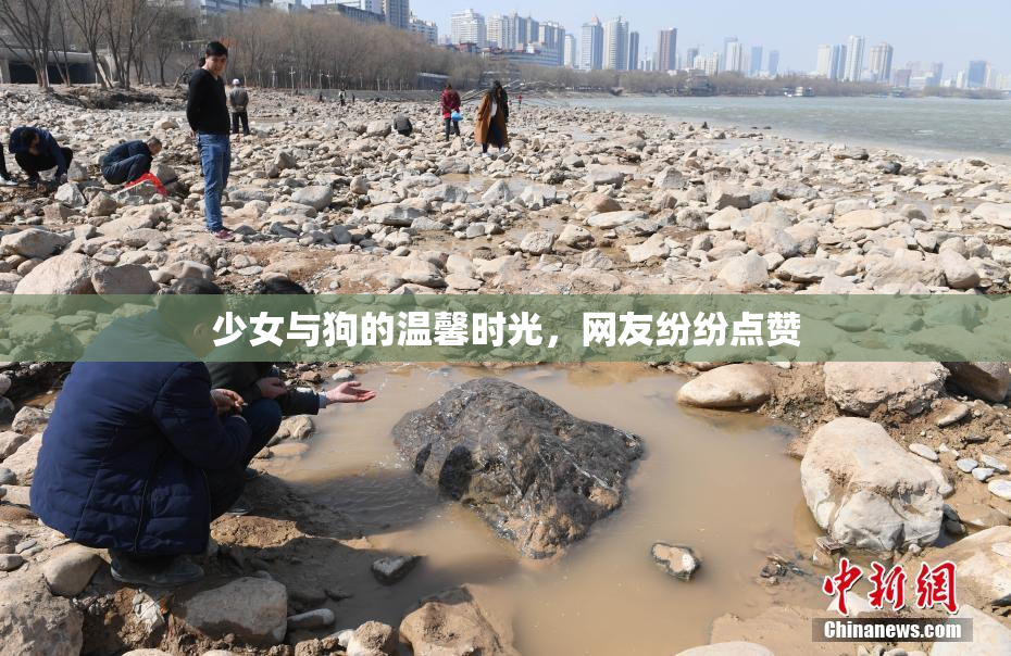 少女与狗的温馨时光，网友纷纷点赞