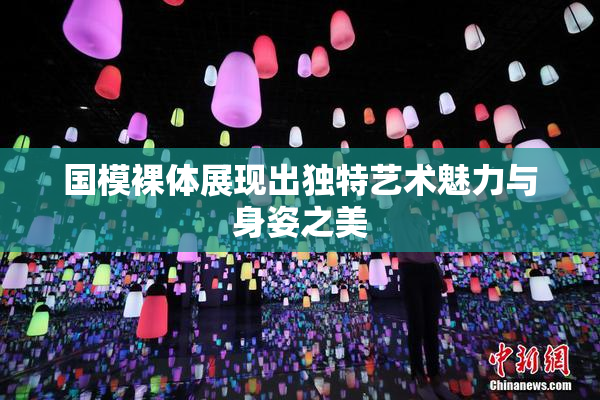国模裸体展现出独特艺术魅力与身姿之美