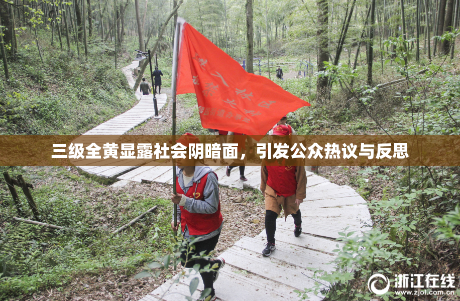 三级全黄显露社会阴暗面，引发公众热议与反思