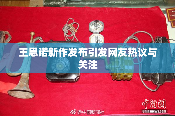 王思诺新作发布引发网友热议与关注