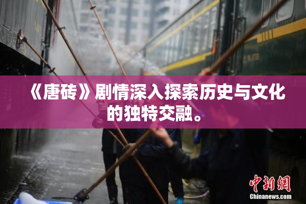 《唐砖》剧情深入探索历史与文化的独特交融。